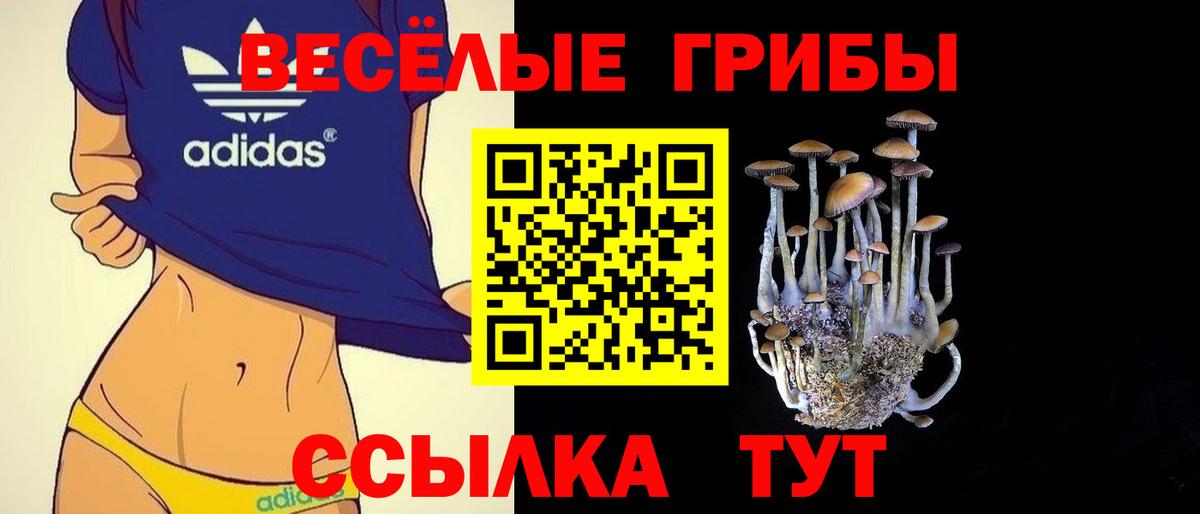 Галлюциногенные грибы MAGIC MUSHROOMS Елизово